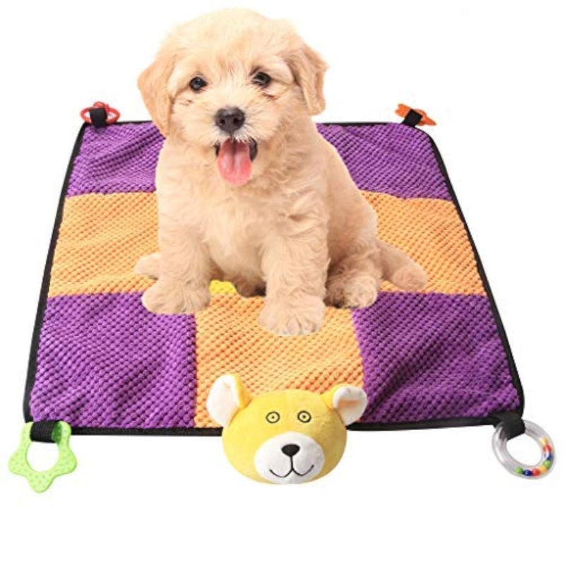 IFOYO Puppy Play Mat, Puppy Chew Toys with Teething Ropes, Durable Dog Sleeping Pad, Interactive Toy for Small Medium Dogs Cats - Image 1